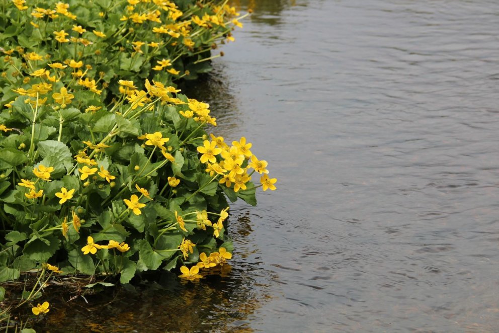 Fræðslufundur fyrir foreldra nýnema