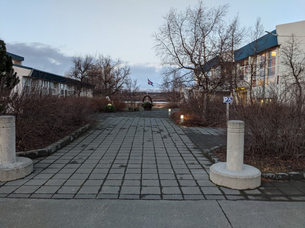 Fyrsti desember í vorblíðunni