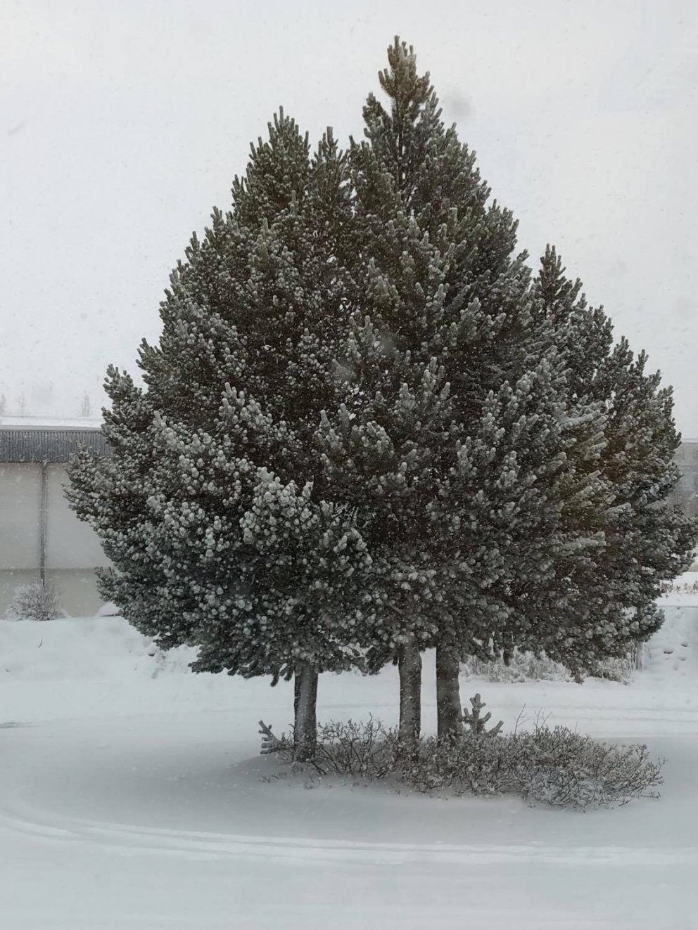 Rafræn sýning á lokaverkefnum útskriftarnemenda