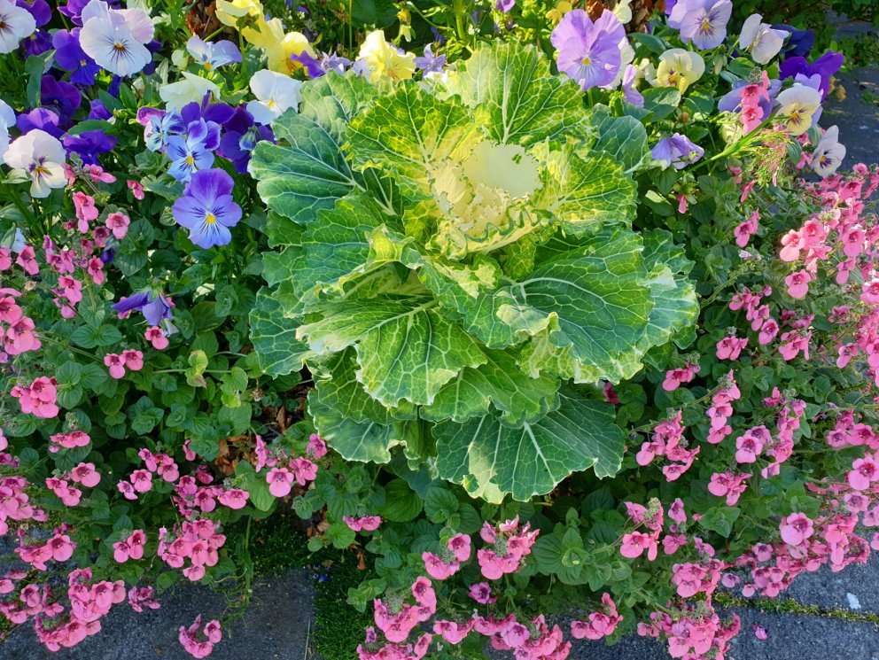 Skólahald í ME næstu daga