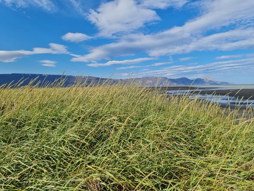 Nýnemaferð í Húsey