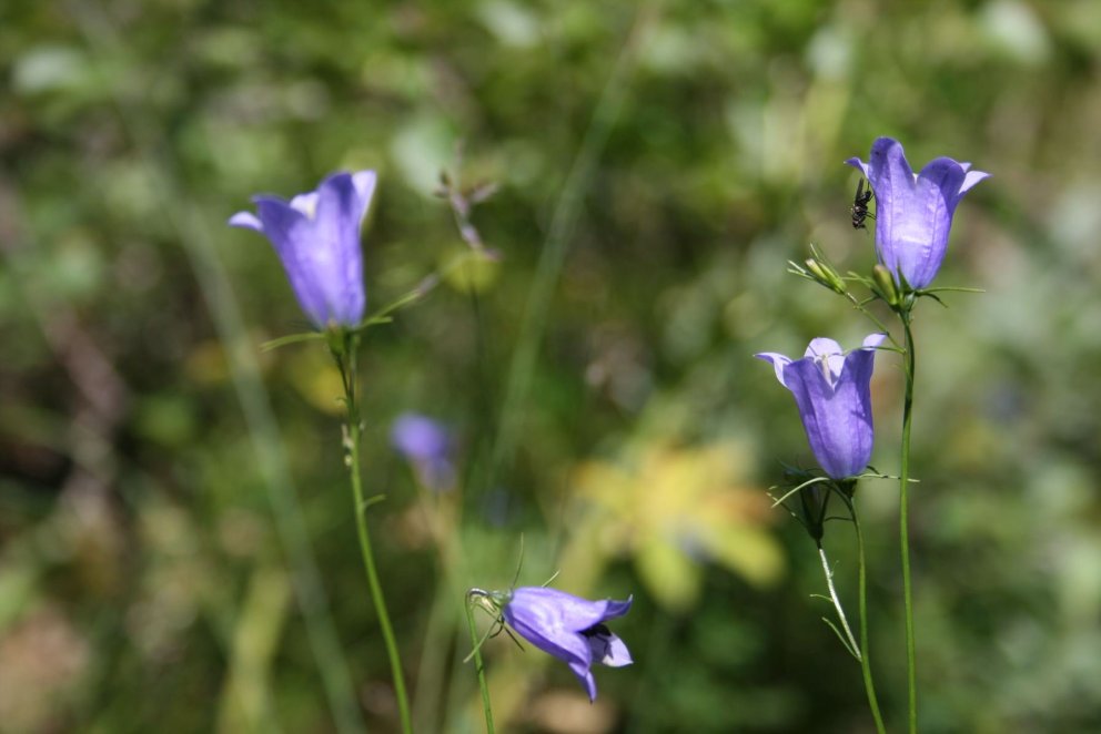 Skólabyrjun í ME haustið 2023