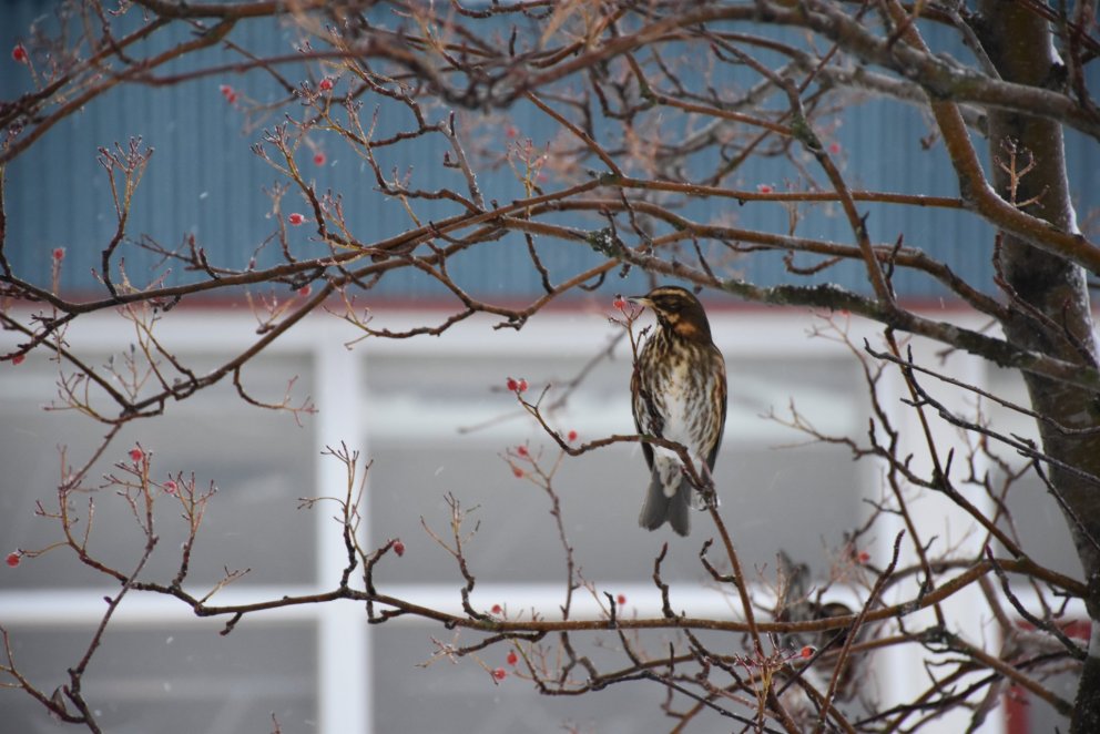 Útskrift laugardaginn 17. desember
