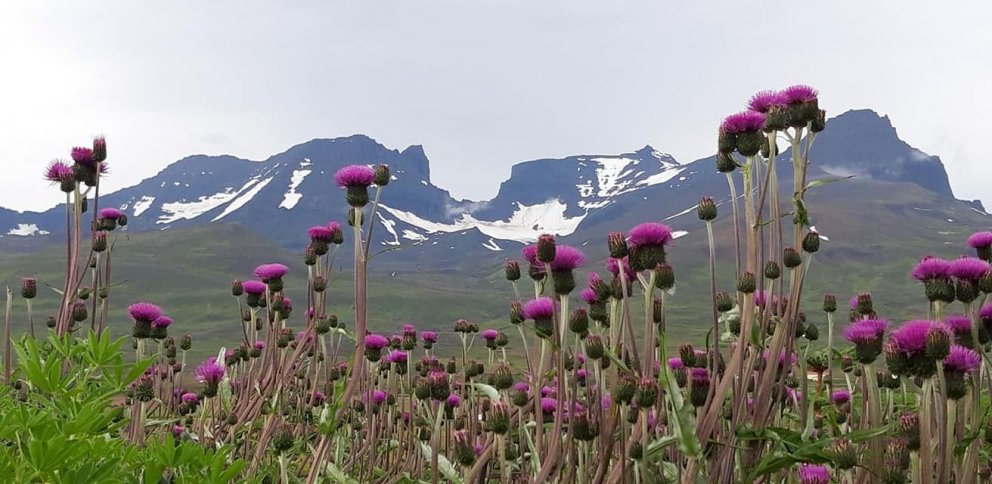 Skólabyrjun í ME haustið 2021