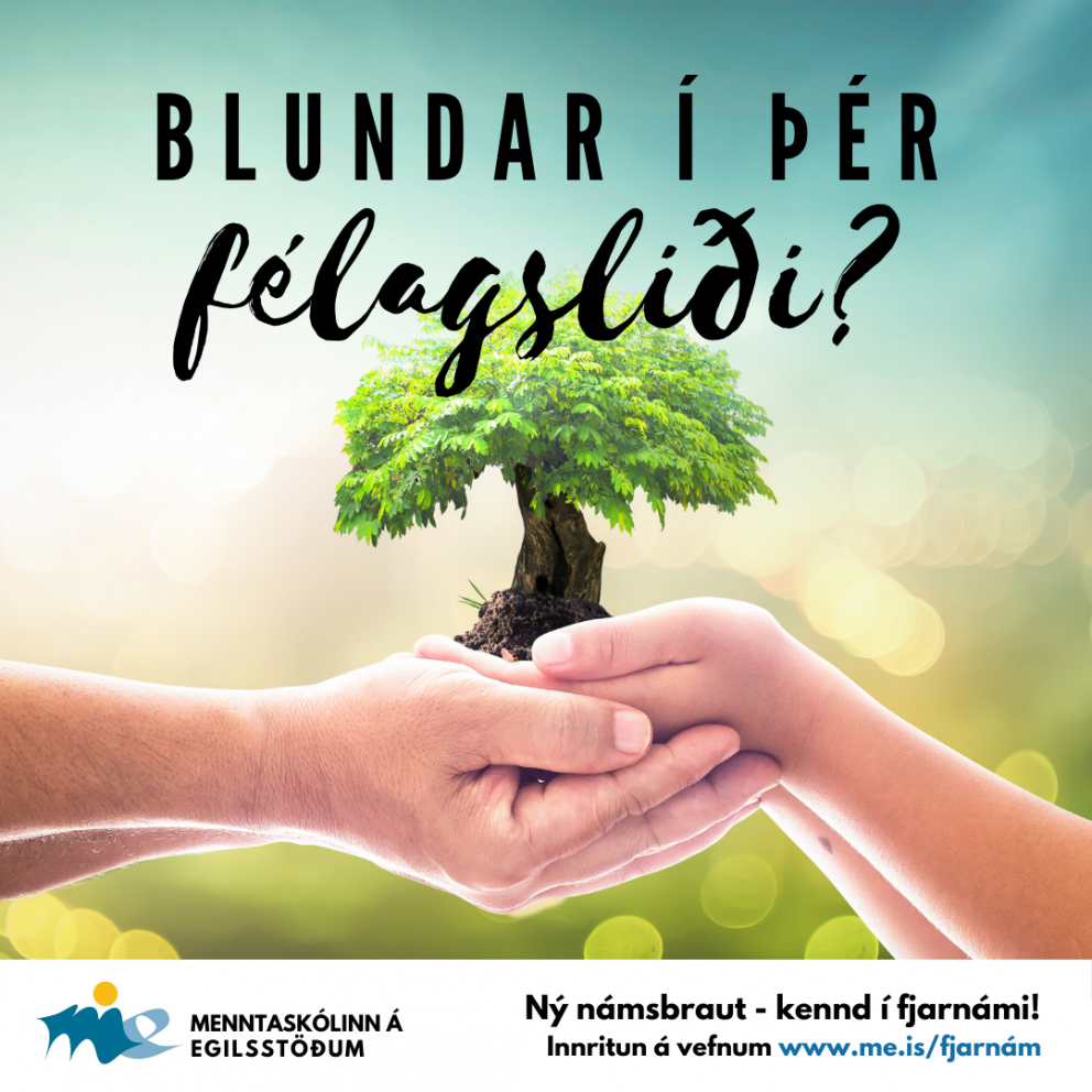 Nám á félagsliðabraut