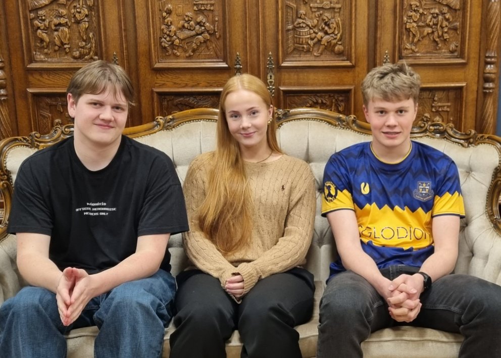 Silli, Embla og Steinar