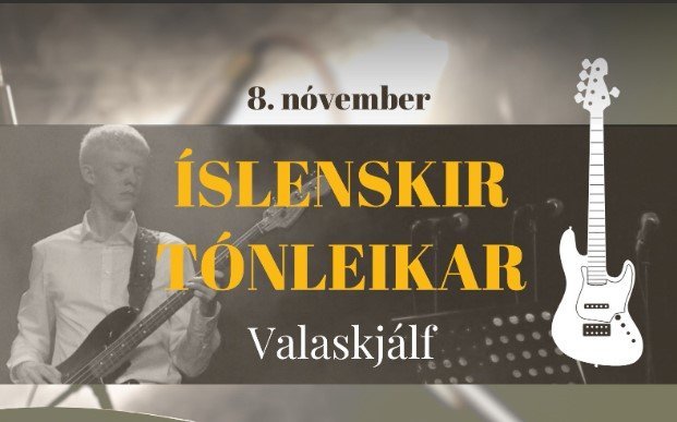 Íslenskir tónleikar TME