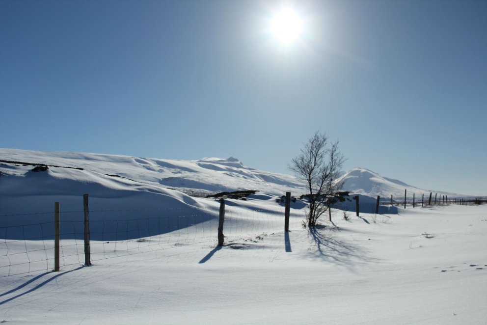 Útskrift fimmtudaginn 21. desember
