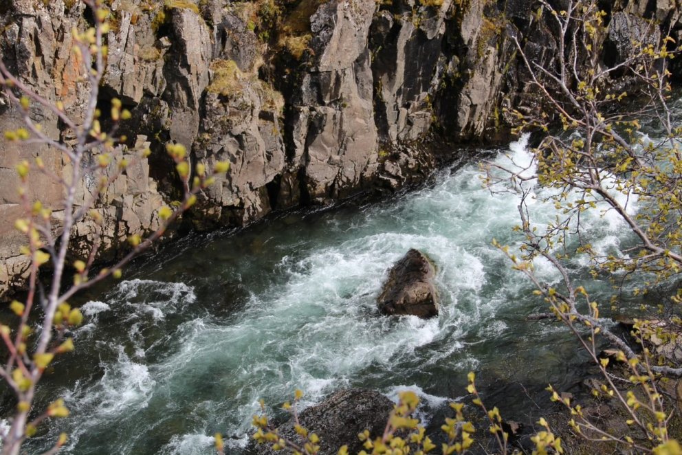 Fjarnám á vorönn 2021