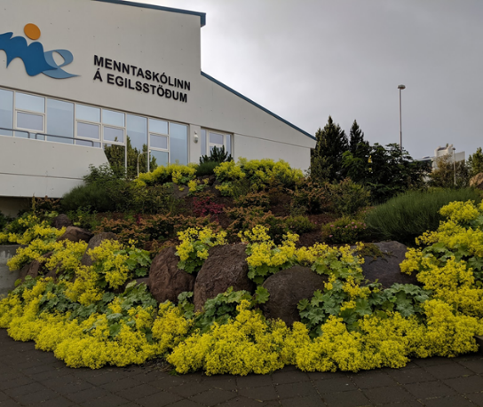 Vorútskrift frá Menntaskólanum á Egilsstöðum