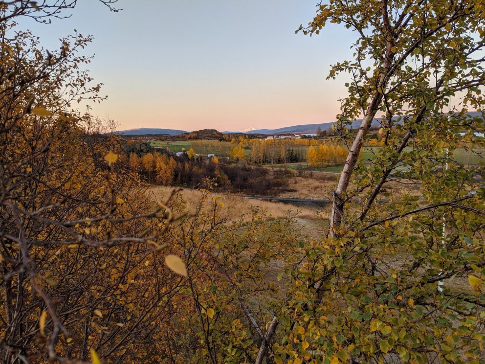 Dagskóli hefst á ný í ME