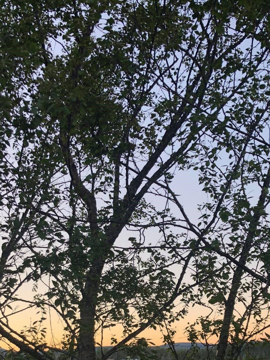 Fjarnám á haustönn 2021