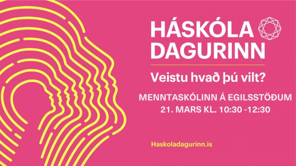 Háskóladagurinn í ME - í raunheimum!