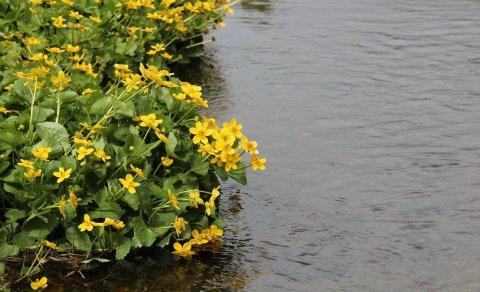 Fræðslufundur fyrir foreldra nýnema