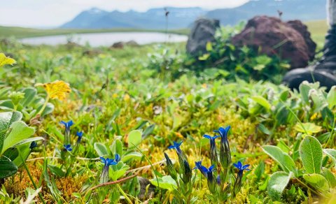 Skólahald í næstu viku og jafnvel þar næstu