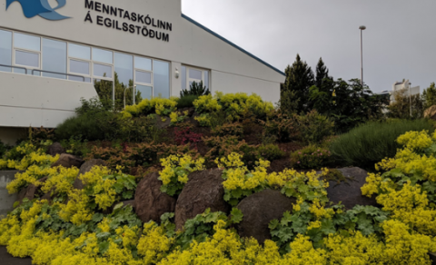Menntaskólinn á Egilsstöðum