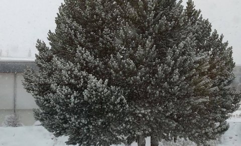 Rafræn sýning á lokaverkefnum útskriftarnemenda