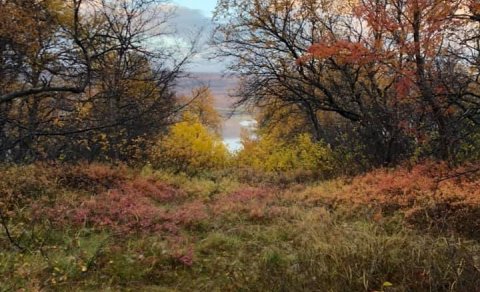 Fjarnám á vorönn 2025