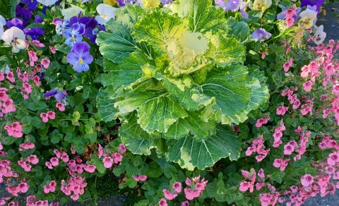 Skólahald í ME næstu daga