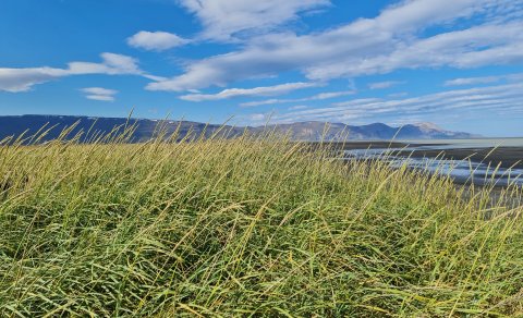 Nýnemaferð í Húsey