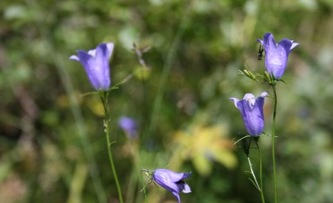 Skólabyrjun í ME haustið 2023