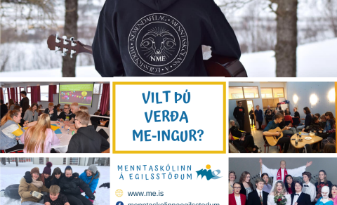 Vilt þú verða ME-ingur