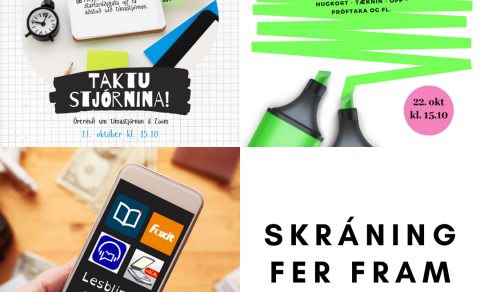 Örnámskeið  á Zoom í byrjun næstu spannar