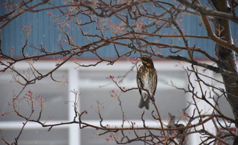 Útskrift laugardaginn 17. desember