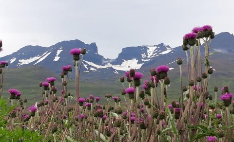 Skólabyrjun í ME haustið 2021