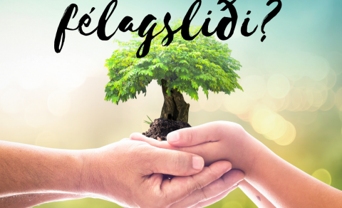 Nám á félagsliðabraut