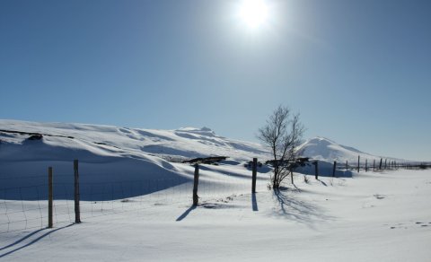 Útskrift fimmtudaginn 21. desember