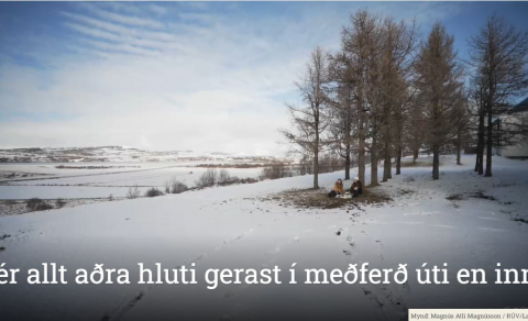 ME í Landanum - Sér allt aðra hluti gerast í meðferð úti en inni