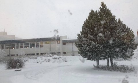 Fjarnám á seinni spönn