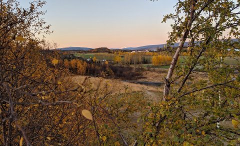 Dagskóli hefst á ný í ME