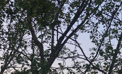 Fjarnám á haustönn 2021